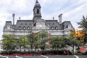 Montreal: Full-Day Small Group City Tour