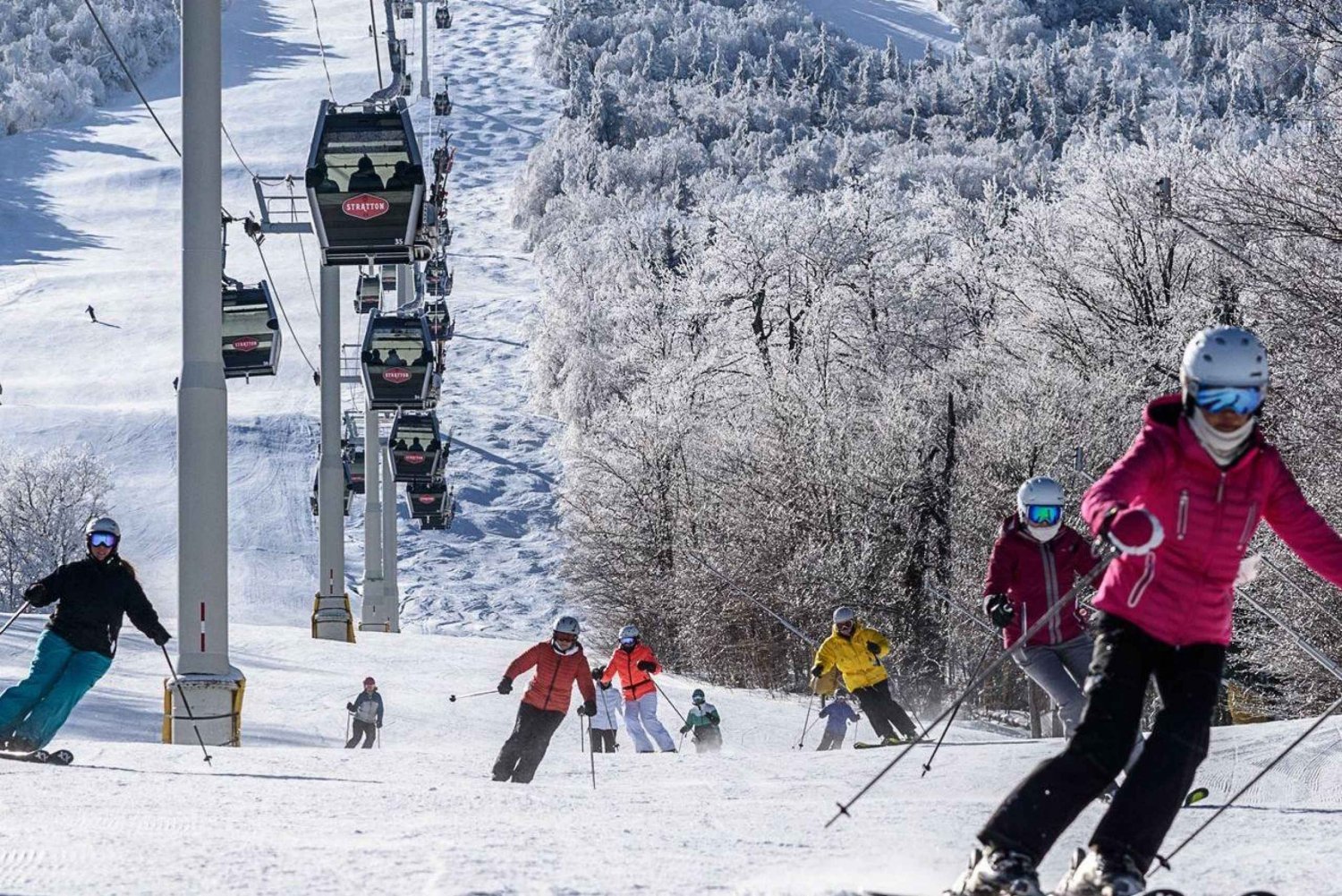 Montreal: Guided Skiing or Snowboarding in Quebec Forests