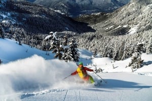 Montréal : Ski ou planche à neige guidée dans les forêts du Québec