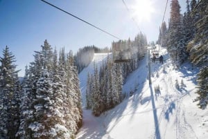 Montréal : Ski ou planche à neige guidée dans les forêts du Québec