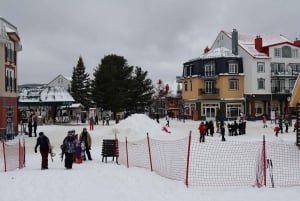 Montréal : Ski ou planche à neige guidée dans les forêts du Québec