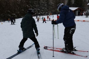 Montréal : Ski ou planche à neige guidée dans les forêts du Québec