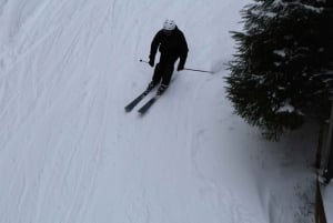 Montréal : Ski ou planche à neige guidée dans les forêts du Québec