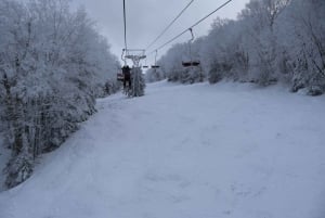 Montréal : Ski ou planche à neige guidée dans les forêts du Québec