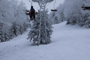 Montréal : Ski ou planche à neige guidée dans les forêts du Québec