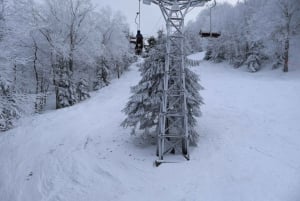 Montréal : Ski ou planche à neige guidée dans les forêts du Québec