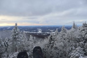 Montréal : Ski ou planche à neige guidée dans les forêts du Québec