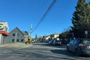 Montreal: Guided tour of the Laurentides Mont Tremblant