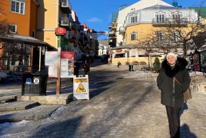 Montreal: Guided tour of the Laurentides Mont Tremblant