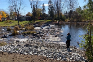 Montreal: Guided tour of the Laurentides Mont Tremblant