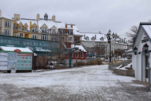 Montreal: Guided tour of the Laurentides Mont Tremblant