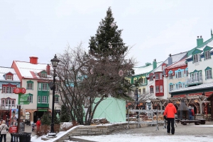 Montreal: Guided tour of the Laurentides Mont Tremblant