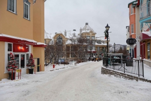 Montreal: Guided tour of the Laurentides Mont Tremblant