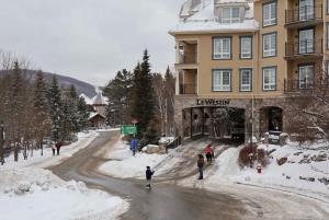 Montreal: Guided tour of the Laurentides Mont Tremblant