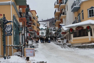 Montreal: Guided tour of the Laurentides Mont Tremblant