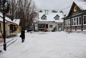 Montreal: Guided tour of the Laurentides Mont Tremblant