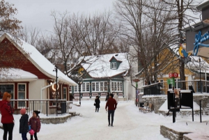 Montreal: Guided tour of the Laurentides Mont Tremblant