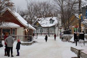 Montreal: Guided tour of the Laurentides Mont Tremblant