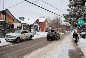 Montreal: Guided tour of the Laurentides Mont Tremblant