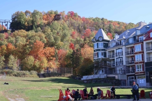 Montreal: tour guidato delle Laurentides Mont Tremblant