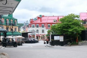 Montreal: tour guidato delle Laurentides Mont Tremblant