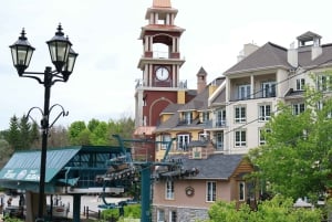 Montreal: tour guidato delle Laurentides Mont Tremblant