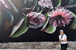 Montreal: begeleide wandeling door de muurschilderingen van Montreal