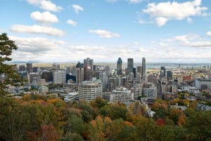 Montreal: Half-Day City Tour