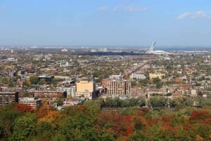 Montreal: Half-Day City Tour