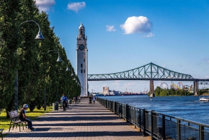 Montreal: Half-day Guided City Tour