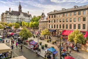 Montreal: Half-day Guided City Tour