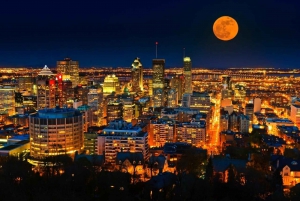 Montreal: Half-day Guided City Tour