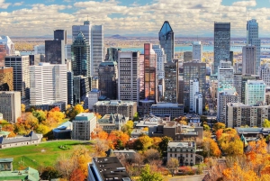 Montreal: Half-day Guided City Tour