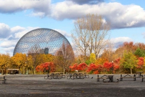 Montreal: Half-day Guided City Tour