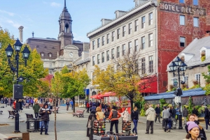 Montreal: Hop-On Hop-Off Double-Decker Bus Tour