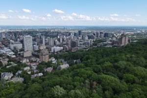 Montreal: Experiência VIP com tudo incluído nos pontos turísticos mais emblemáticos