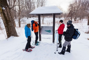 Montreal: Îles-de-Boucherville Entry Ticket and Snowshoeing