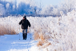 Montreal: Îles-de-Boucherville Entry Ticket and Snowshoeing