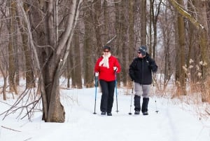 Montreal: Îles-de-Boucherville Entry Ticket and Snowshoeing