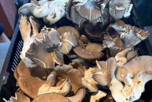 Montréal : visite culinaire guidée des trésors cachés du marché Jean-Talon