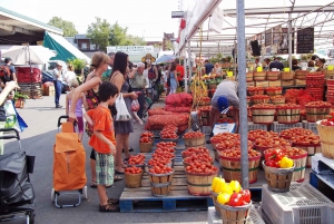 Montreal: Jean-Talon Market & Little Italy Highlights Tour