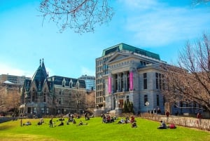 Montreal: Guidet gåtur på McGill University