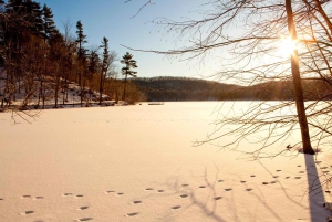 Montreal: Mont-Saint-Bruno National Park Entry and Fatbiking