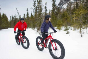 Montreal: Mont-Saint-Bruno National Park Entry and Fatbiking