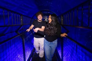 Montreal: Museum of Illusions Toegangsbewijs