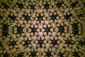 Montreal: Museum of Illusions Toegangsbewijs