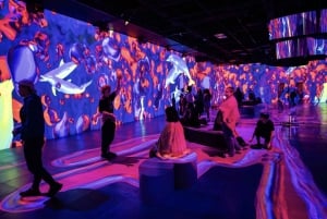 Montreal: Ingresso para a imersão OASIS