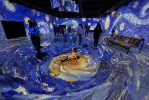 Montreal: Ingresso para a imersão OASIS