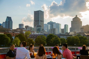 Montreal: Hafen von Montreal Tower Entry & Kreuzfahrt Combo