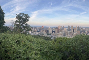 Privat byrundtur i bil i Montreal med lokal guide